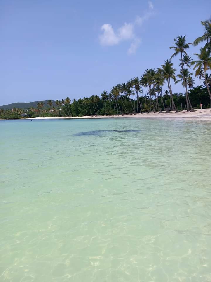 samana.jpg