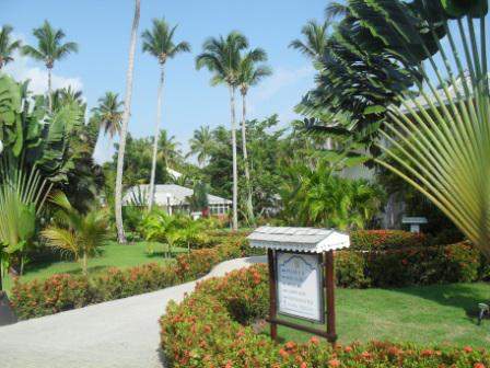 SDC12173.JPG