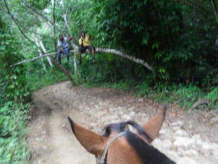 SDC12249.JPG