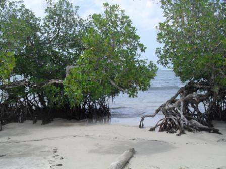 SDC12281.JPG