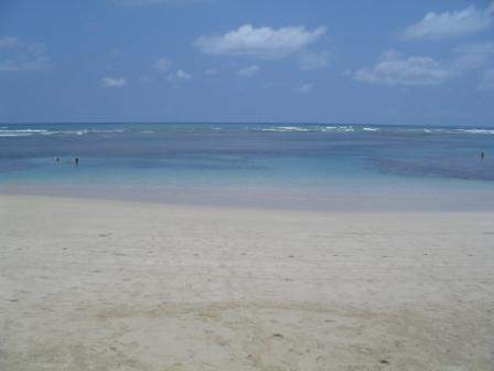 SDC12329.JPG