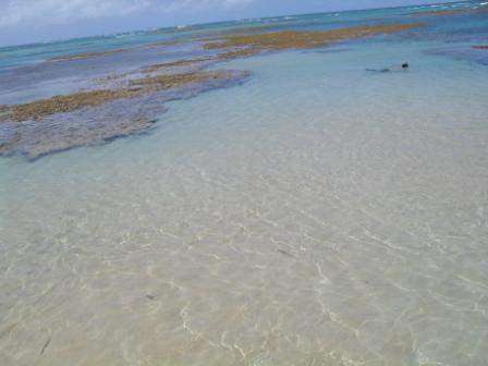SDC12554.JPG