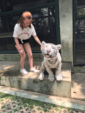 upload_2018-9-17_21-59-21.png