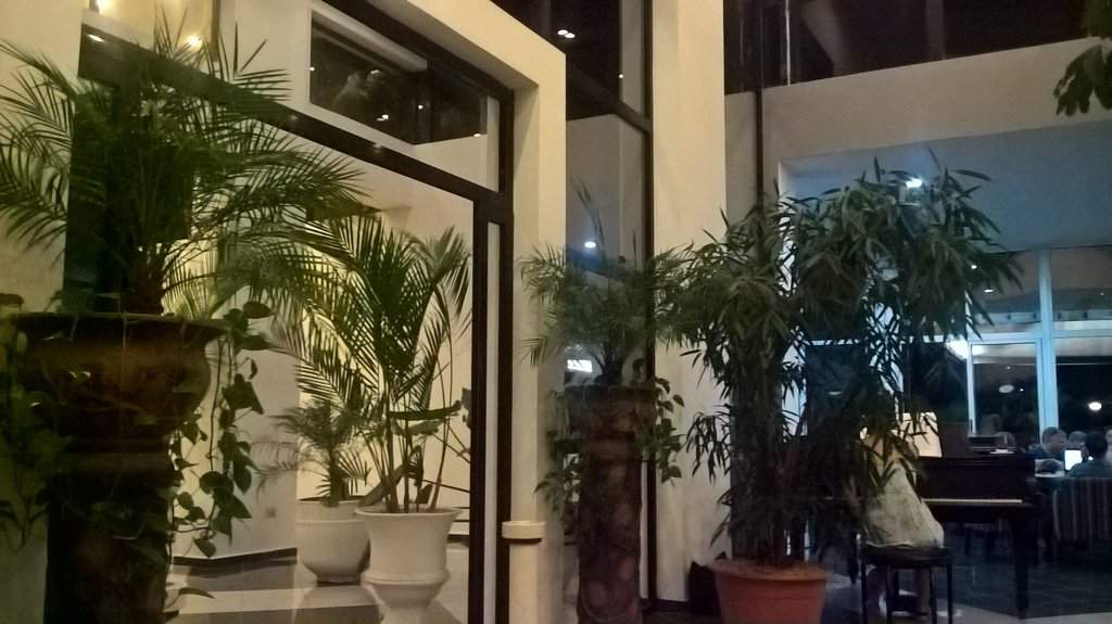 WP_20180214_18_51_59_Pro.jpg
