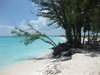 ai862.photobucket.com_albums_ab190_ruisertorio_Cuba_IMG_1132.jpg