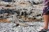 ai862.photobucket.com_albums_ab190_ruisertorio_Cuba_DSC_0399.jpg