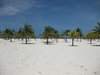 ai862.photobucket.com_albums_ab190_ruisertorio_Cuba_IMG_1044.jpg
