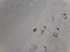 DSC05348.JPG