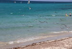IMG_2381.JPG