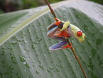 IMG_3041.JPG