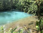 IMG_3256.jpg
