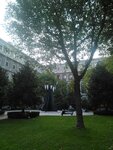 IMG-20190921-WA0028.jpg