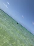 4E8B5AD2-B8C0-42A0-AD75-D9108E5EAC7C.jpeg