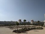 PXL_20210927_100704981.jpg