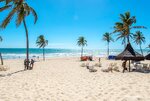 beach--v14008356.jpg
