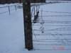 ai776.photobucket.com_albums_yy42_marmotavc_Polonia_Polnia_Fev09079.jpg