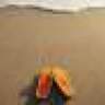 CarlaR