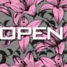Open Moda Jovem