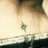 Car_lota