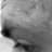 liquidcat