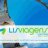 Lis Viagens