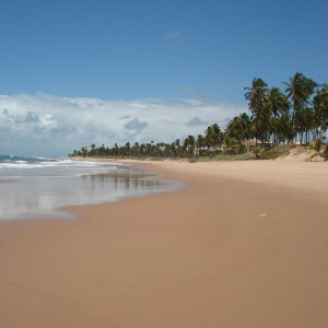 Iberostar Bahia