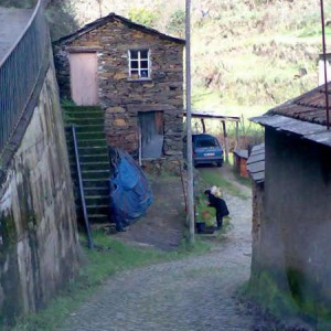 Vouzela e S. Pedro do Sul