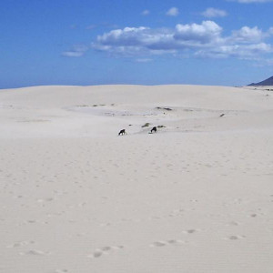Fuerteventura