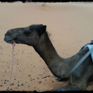 Marrocos 06