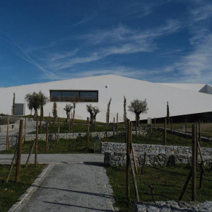 L'And Vineyards