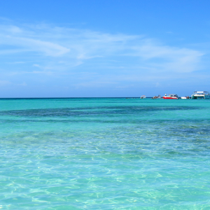 Ilha Saona