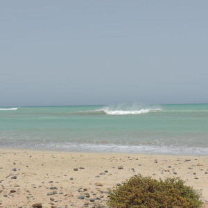 Excurção Volta Ilha da Boa Vista
