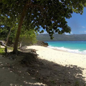 Samana 2014