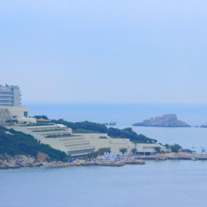 DUBROVNICK