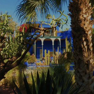 Majorelle