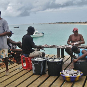 Ilha do Sal