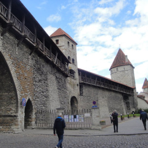 Tallin