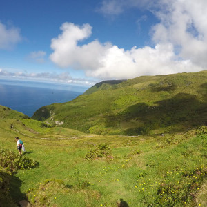 Açores - Flores, Corvo, Faial e São Miguel