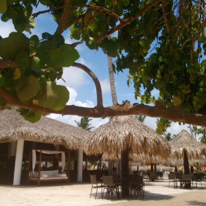 Punta Cana (Sirenis) 2015