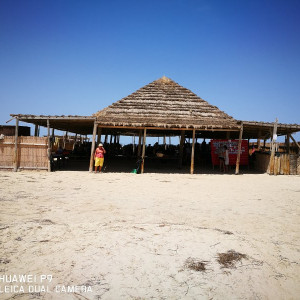 Djerba - Tunisia 06/2016