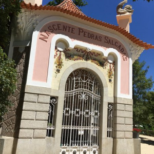 Pedras Salgadas