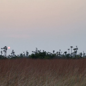 Parque Nacional da Kissama