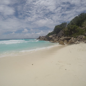 Love Seychelles