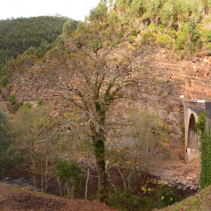 Passadiços do Paiva
