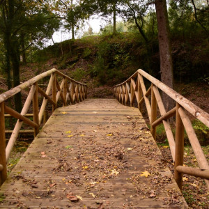 Ribeira de Fráguas