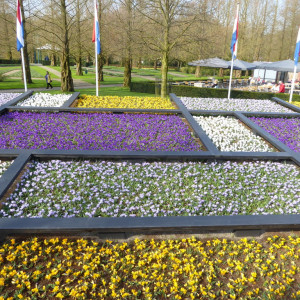 Holanda