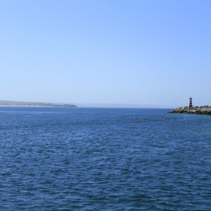 Berlengas