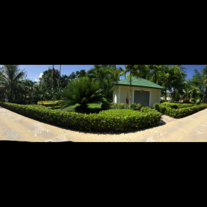 Cayo levantado