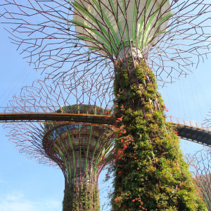 Malásia/Singapura/Austrália