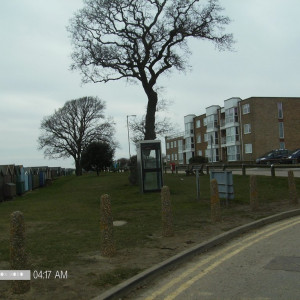 Colchester e Universidade de Essex